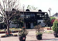 ���c�t�����[�����h�O��