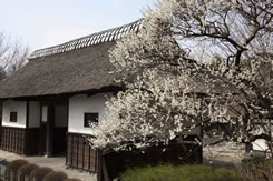 �Ö��ƒT���c�A�[