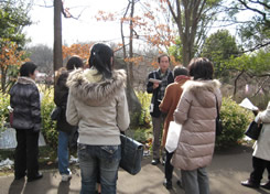 ���t���w�U��